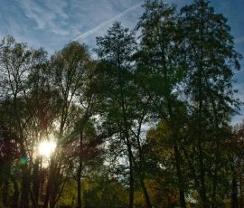 DSC_2686_DxO